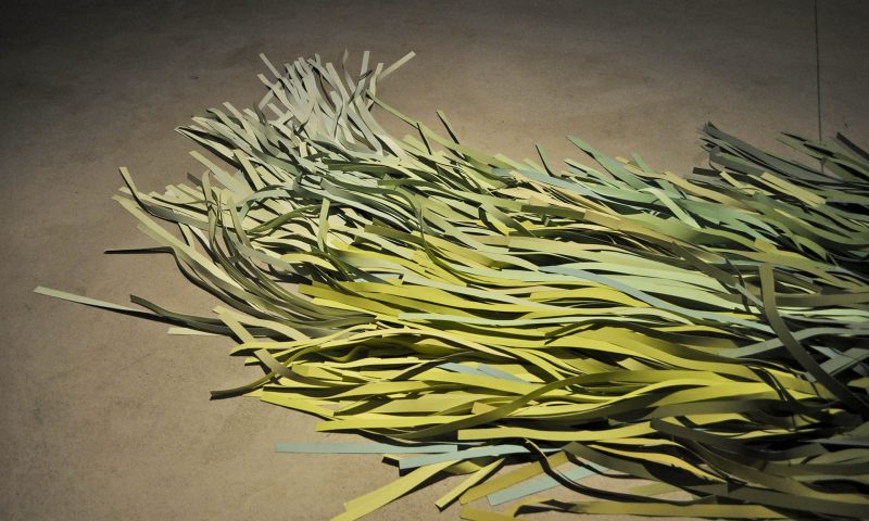 Medidas Variables / Maleza I